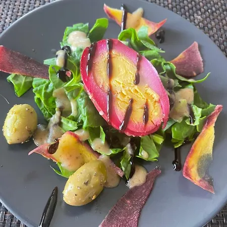 Maison Ecologique De Qualite Superieure Villa Monflanquin