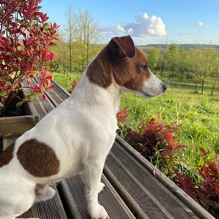 Villa Maison Ecologique De Qualite Superieure