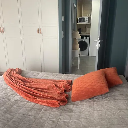 Maison Ecologique De Qualite Superieure Monflanquin