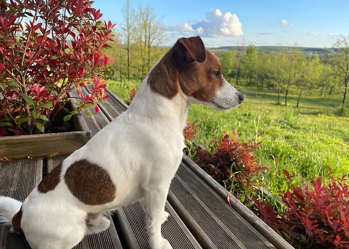 Villa Maison Ecologique De Qualite Superieure